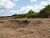 East Ruston Common