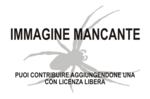 Miniatura per Iona (zoologia)