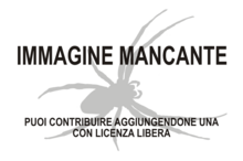 Immagine di Juanfernandezia melanocephala mancante