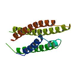 Apolipoprotein E