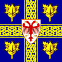 Bandeira oficial de Leskovac