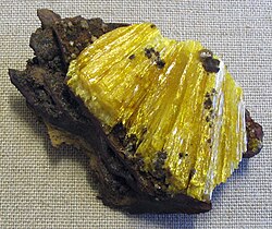 Yellow radiating prismatic crystals on limonite