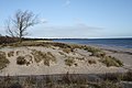 Sand dunes