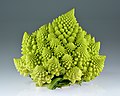 Brassica Oleracea, ejemplo de simetría fractal vegetal