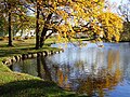 Aarhus University Park (the lakes)