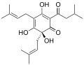 Humulones are classified as sesquiterpenoids.