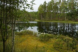 La baie Östgötaviken du lac Stora Trehörningen.