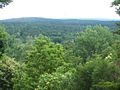 Vue de la forêt depuis Teufelsberg.