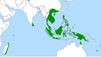 Globalna distribucija roda Nepenthes