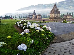 Dieng temples