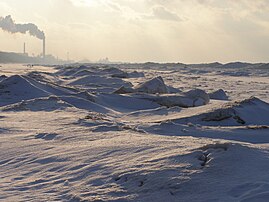 Ridges of shelf ice along Lake Michigan's southern shore at Indiana Dunes National Park