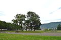 Site of the Shinano Kokubun-ji