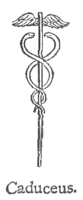 The caduceus