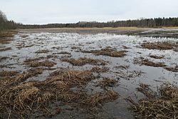 Juupajärveä nähtynä lounaasta huhtikuussa 2017.