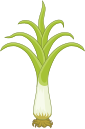 National Flower: Leek