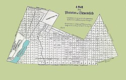 Plan of Shepardsfield Plantation[1]