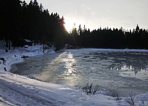 Stierbergsteich zwischen Rothesütte und Sophienhof im Südharz