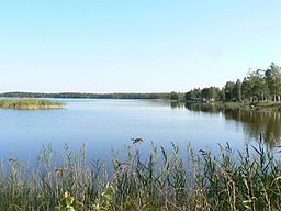 Kaisma järv.