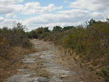 Lande et chemin en schiste près de Candé.