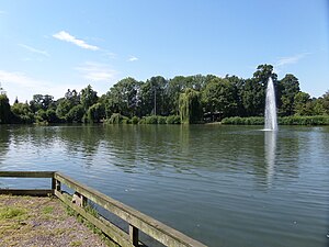 De roeivijver in het stadspark.