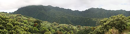 Photo montrant les montagnes et la jungle du centre de l'île.