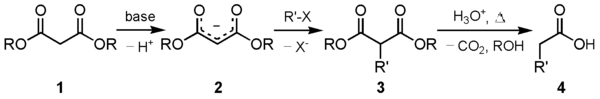 Malonzuurestersynthese