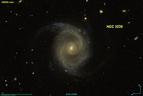 Image illustrative de l’article NGC 5239