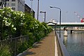 堂島川左岸線 渡辺橋～田蓑橋