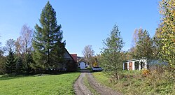 Houses by the road