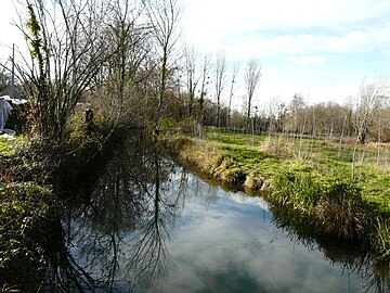 Le Vern à Gencille.