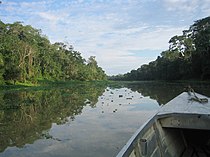 Amazon River tributary classified as blackwater