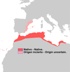 Distribución de Atelerix algirus.