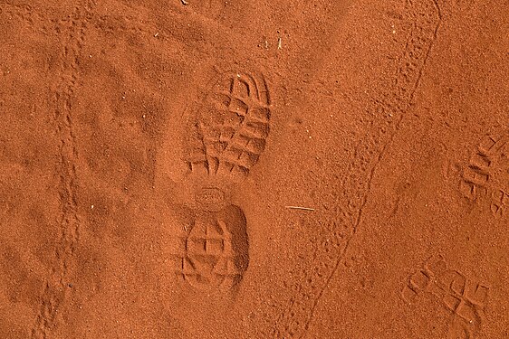 Footprints of a boot and insect tracks on red sand of Kalahari desert, Bagatelle Kalahari, Namibia