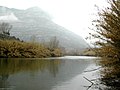 La canavèra cobrissent las ribas del riu Llobregat, al fons la montanha de Montserrat.