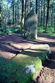 Les menhirs de l'Étoile.