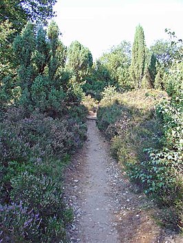 De Noetselerberg nabij Nijverdal