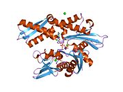 1qqm: D199S MUTANT OF BOVINE 70 KILODALTON HEAT SHOCK PROTEIN