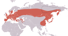 Mapa występowania