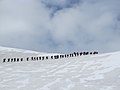 Climbing Villarrica