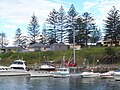 Kiama harbour