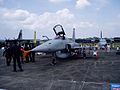 An AGM-65 Maverick armed Northrop F-5S Tiger-II.