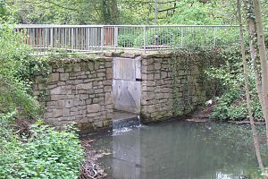 Stauwehr an der ehemaligen Schnockesmühle