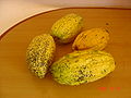 Quả cacao nguyên vẹn.