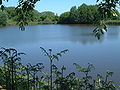 Pond at Aukrug-Innien