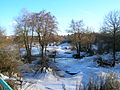 Ruisseau du Marais de Saône sous la neige.