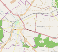 Mapa konturowa Skierniewic, blisko centrum na lewo u góry znajduje się punkt z opisem „Skierniewice”