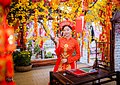 A girl wears an áo dài during Tết.