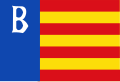 Vlag van Brongerga