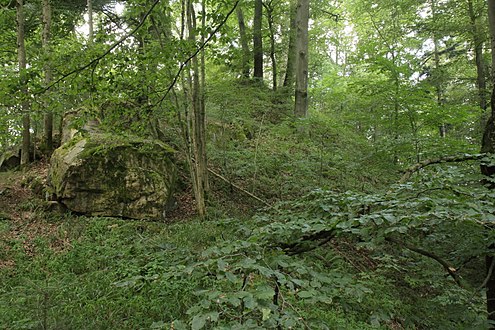 Ansicht des östlichen Hügels, wohl der Standort eines turmförmigen Gebäudes (Juli 2013)