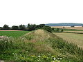 Ehemaliger Bahndamm zwischen Sibbesse-Hönze und Despetal-Nienstedt